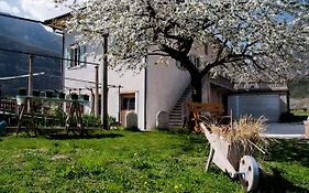 B&B La Fosina